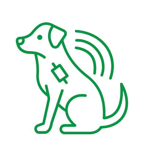 Vet scanning microchip implant of a cat