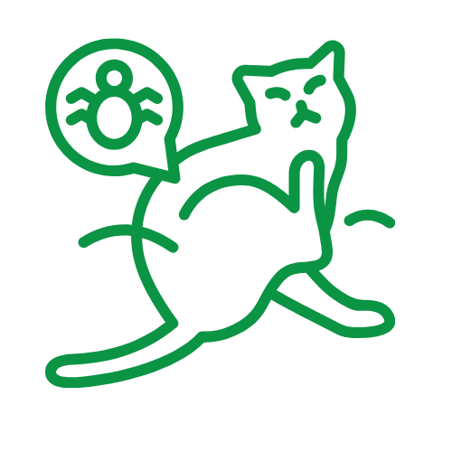 Vet examining a white cat with stethoscope