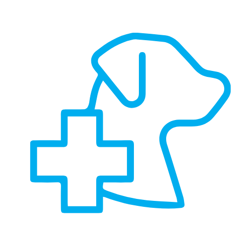 Vet putting surgery collar for a dog