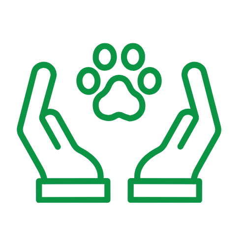 vet doing ultrasound on a dog