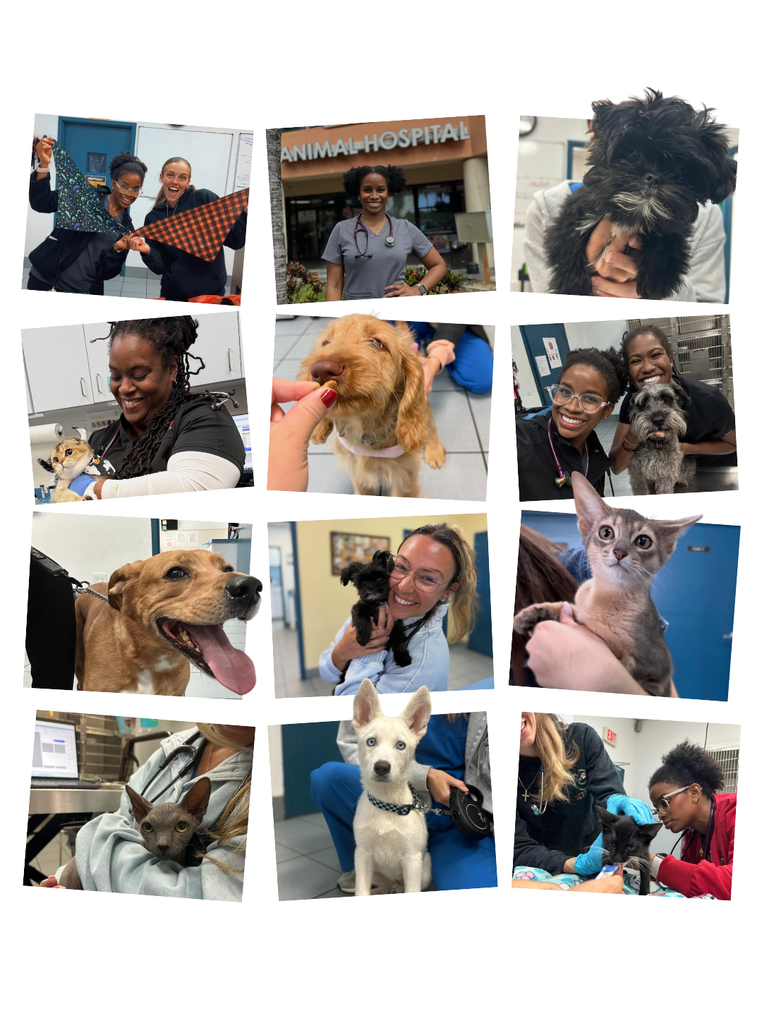 SouthBroward_About_Collage