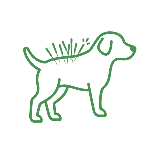 Pet Acupuncture icon
